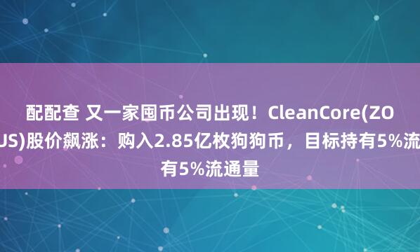 配配查 又一家囤币公司出现！CleanCore(ZONE.US)股价飙涨：购入2.85亿枚狗狗币，目标持有5%流通量