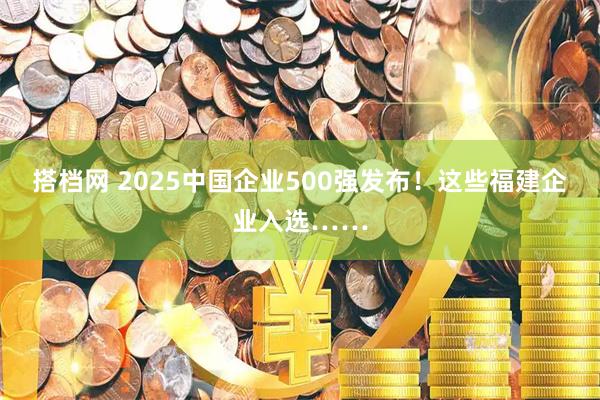 搭档网 2025中国企业500强发布！这些福建企业入选……